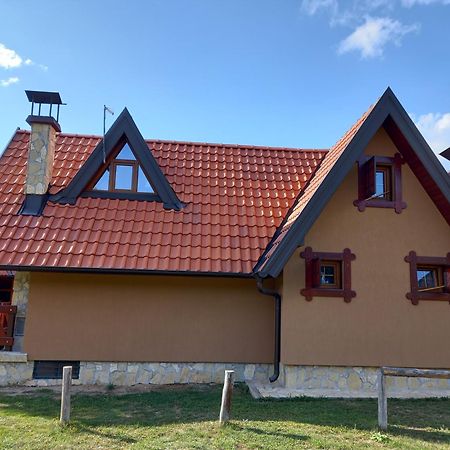 Mountain House Tadic 2 Villa Bajina Basta Kültér fotó