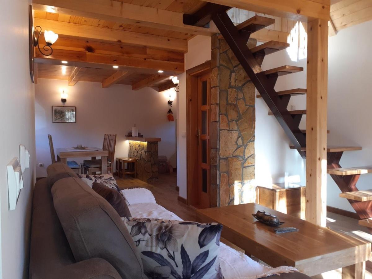 Mountain House Tadic 2 Villa Bajina Basta Kültér fotó