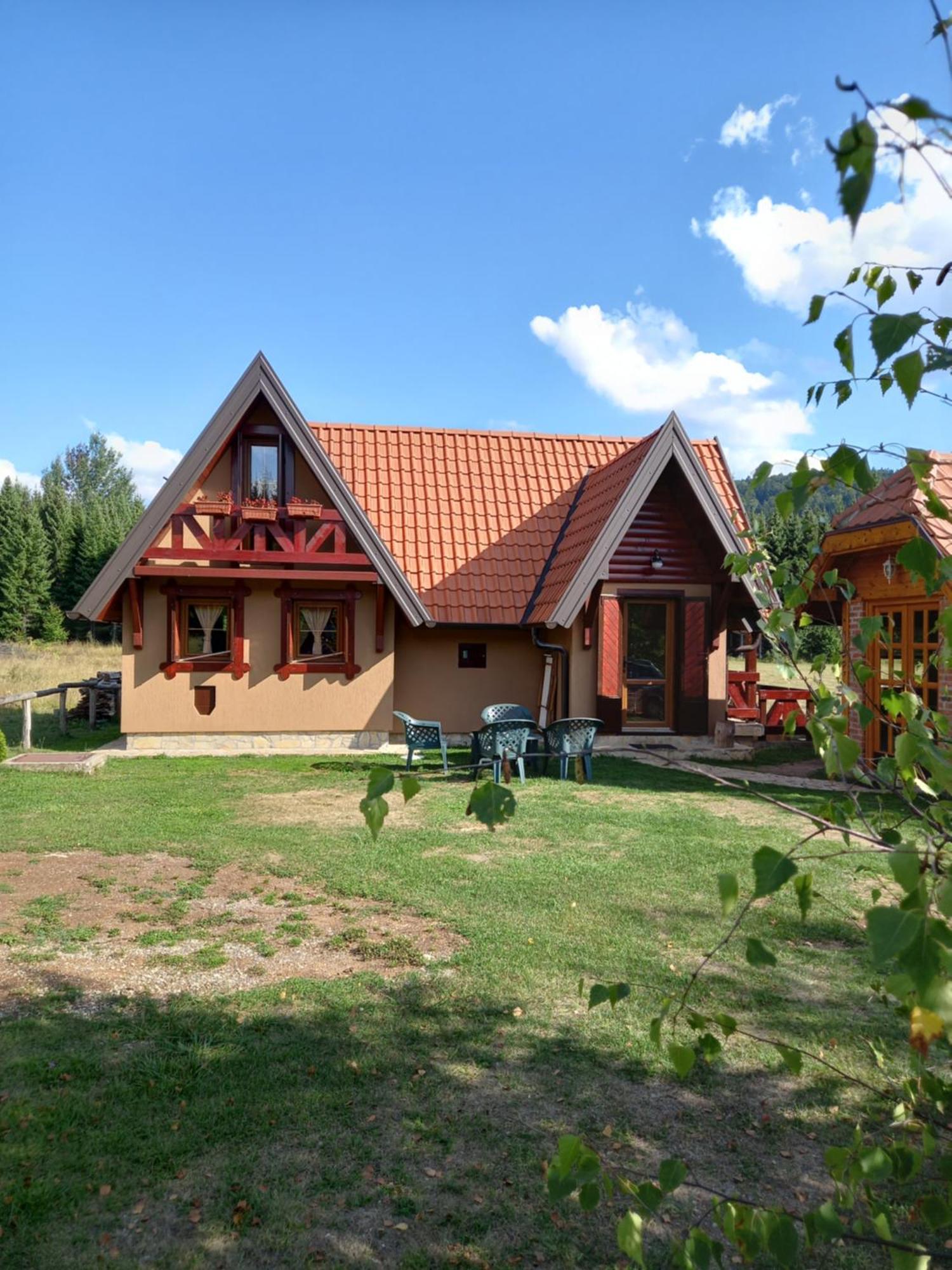 Mountain House Tadic 2 Villa Bajina Basta Kültér fotó